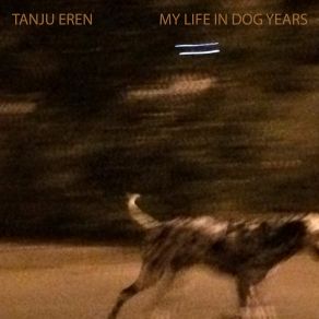 Download track Dog 7 Tanju Eren