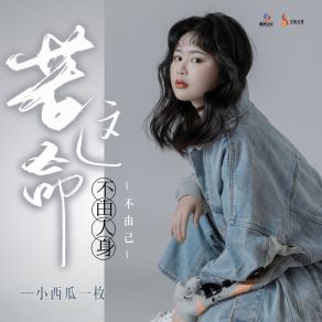 Download track 若这命不由人身不由己 (伴奏) 小西瓜一枚