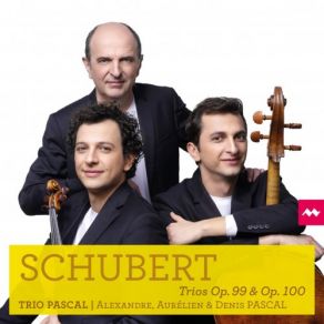 Download track Piano Trio No. 2 In E-Flat Major, Op. 100, D. 929: III. Scherzando. Allegro Moderato Denis Pascal, Aurelien Pascal, Alexandre Pascal