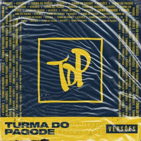 Download track É Tarde Demais / Que Se Chama Amor Turma Do Pagode