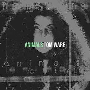 Download track Funky Parrot Tom Ware