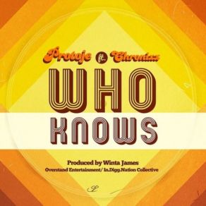 Download track Who Knows (Shy Fx Remix) Protoje, Chronixx