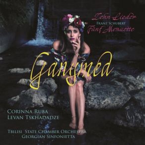 Download track Gretchen Am Spinnrade, D. 118; Op. 2 Levan Tskhadadze, Corinna Ruba, Tbilisi State Chamber Orchestra