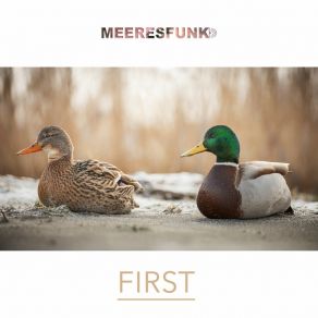 Download track Momente Meeresfunk