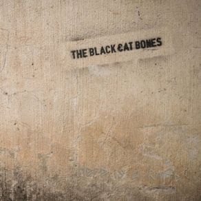 Download track Turn Of The Century Black Cat Bones