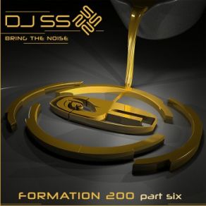 Download track Bring The Noise Dj Ss