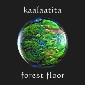 Download track Forest Floor Kaalaatita