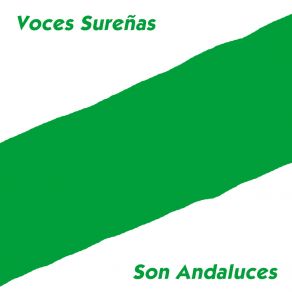 Download track Son Andaluces (Instrumental) VOCES SUREÑASΟΡΓΑΝΙΚΟ