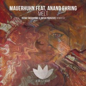 Download track Melt (Jaksa Pavicevic Remix) Mauerhuhn, Anand Ehring