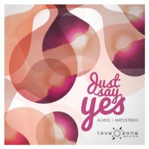 Download track Just Say Yes (Original Mix) Mat2Strass, Alveol