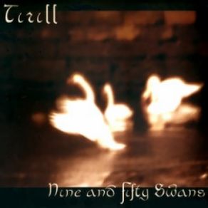 Download track The Wild Swans At Coole Tirill