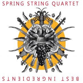 Download track Black Hole Sun Spring String Quartet