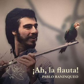 Download track Gentle Rain (En Vivo) Pablo Raninqueo