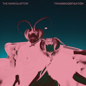 Download track Transmogrification The Narcoleptor