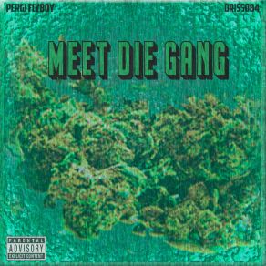 Download track Meet Die Gang Pergi FlyboyDriss53