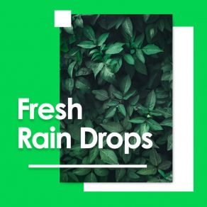 Download track Rain Sound And Thunder Deep Sleep