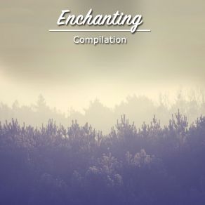 Download track Enchanting Sea Waves Meditation Awareness