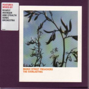 Download track The Everlasting (Stealth Sonic Orchestra Remix) Manic Street Preachers