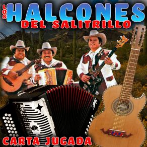 Download track Grano De Oro Los Halcones Del Salitrillo