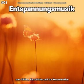 Download track Entspannungsmusik Pt. 60 Entspannungsmusik