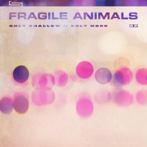 Download track Come Down Fragile Animals