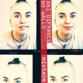 Download track Dilate Ani DiFranco