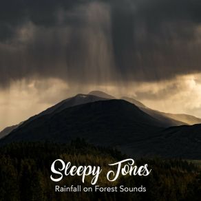 Download track Rainfall On Forest Sounds, Pt. 8 Jason Rivers