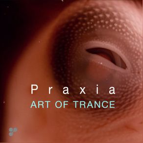 Download track Praxia (Airwave Remix) Art Of Trance