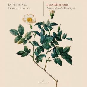 Download track Madrigali Á 5 Voci, Libro 9 (Excerpts): No. 1, Così Nel Mio Parlar La Venexiana