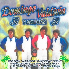 Download track De Tanto Verte Domingo Valdivia