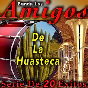 Download track Caí En Piedra Banda Amigos De La Huasteca