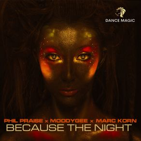 Download track Because The Night (Extended Mix) Phil Praise