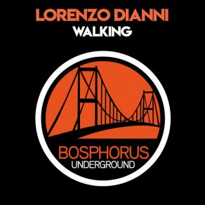 Download track Walking (Alan Woools Remix) Lorenzo Dianni