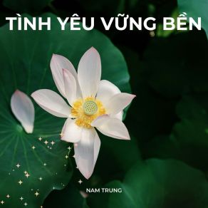 Download track Tình Yêu Vững Bền Nam Trung