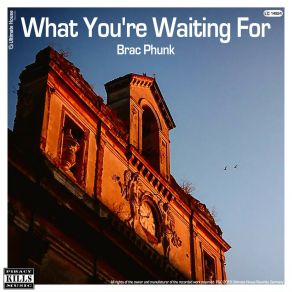 Download track What You're Waiting For (Summer Of Love Mix) Brac Phunk