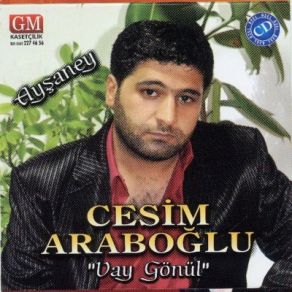 Download track Kolaymı (Ağıt)  Cesim Araboğlu