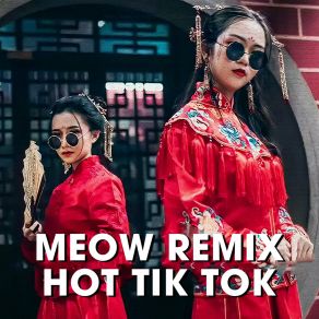 Download track Cơn Sầu Dĩ Vãng (MEOW Remix) Mee MediaTamKe