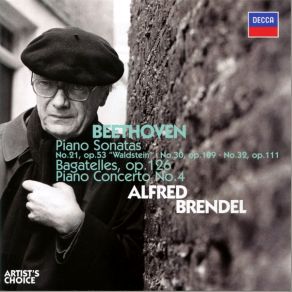 Download track Beethoven Piano Concerto No. 4 In G Major, Op. 58 - I. Allegro Moderato Ludwig Van Beethoven, Alfred Brendel