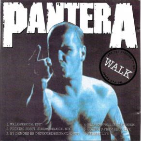 Download track Cowboys From Hell (Live) Pantera