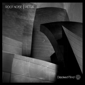 Download track A Flash Of Light Root Noise