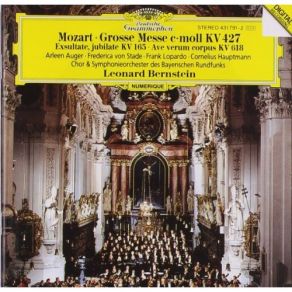 Download track Symphony No. 25 In G Minor, K. 173dB (K. 183) USE KV183 / Y25: Allegro Con Brio Leonard Bernstein, Wiener Philarmoniker