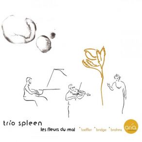 Download track Where Is It That Our Soul Doth Go Three Songs For Mezzo-Soprano, Viola And Piano Trío Spleen