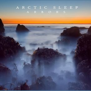 Download track Pine Mountain Arctic Sleep