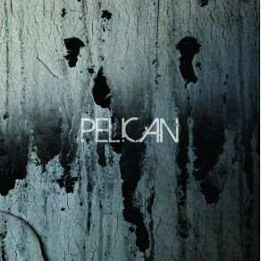 Download track The Truce Pelican