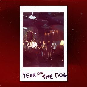 Download track Tigers In The Living Room (Live) Year Of The Dog