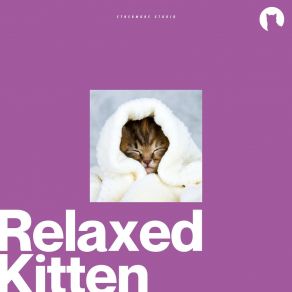 Download track The Beach's Bountiful Bobbin Burst Relax My Kitten