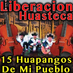 Download track El 7 Mares Trio Liberacion Huasteca