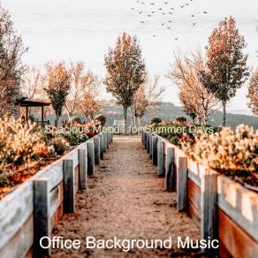 Download track Spacious Moods For Summer Days Office Background Music