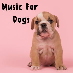 Download track Pure Classical Perfection Calm Pets Music Academy