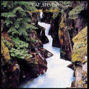 Download track The Artist Cat Stevens